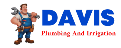 Trusted plumber in PALMS