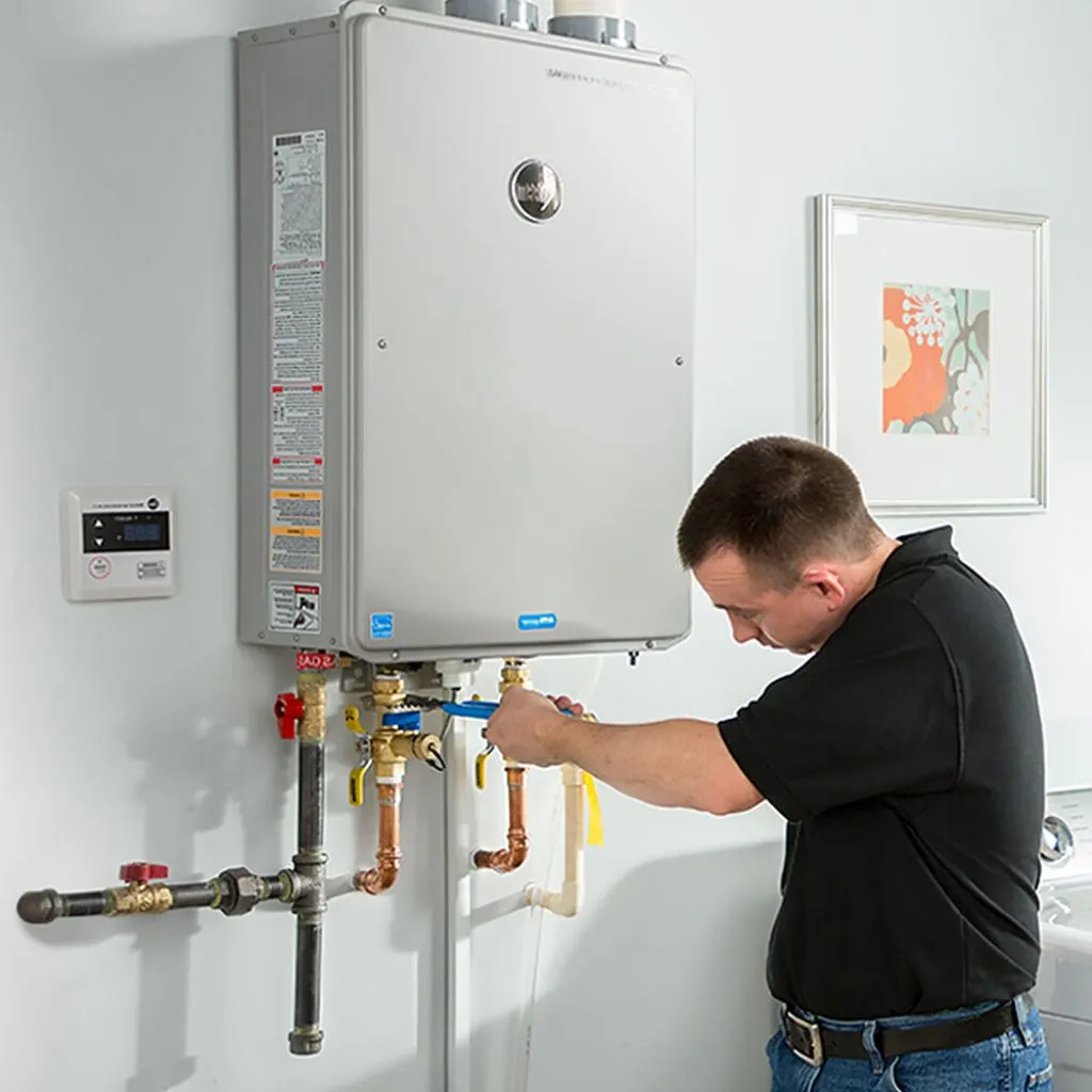 tankless water heater repair in Palms, MI